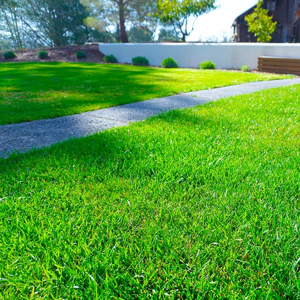 landscape-maintenance-45 how-to-make-your-lawn-greener