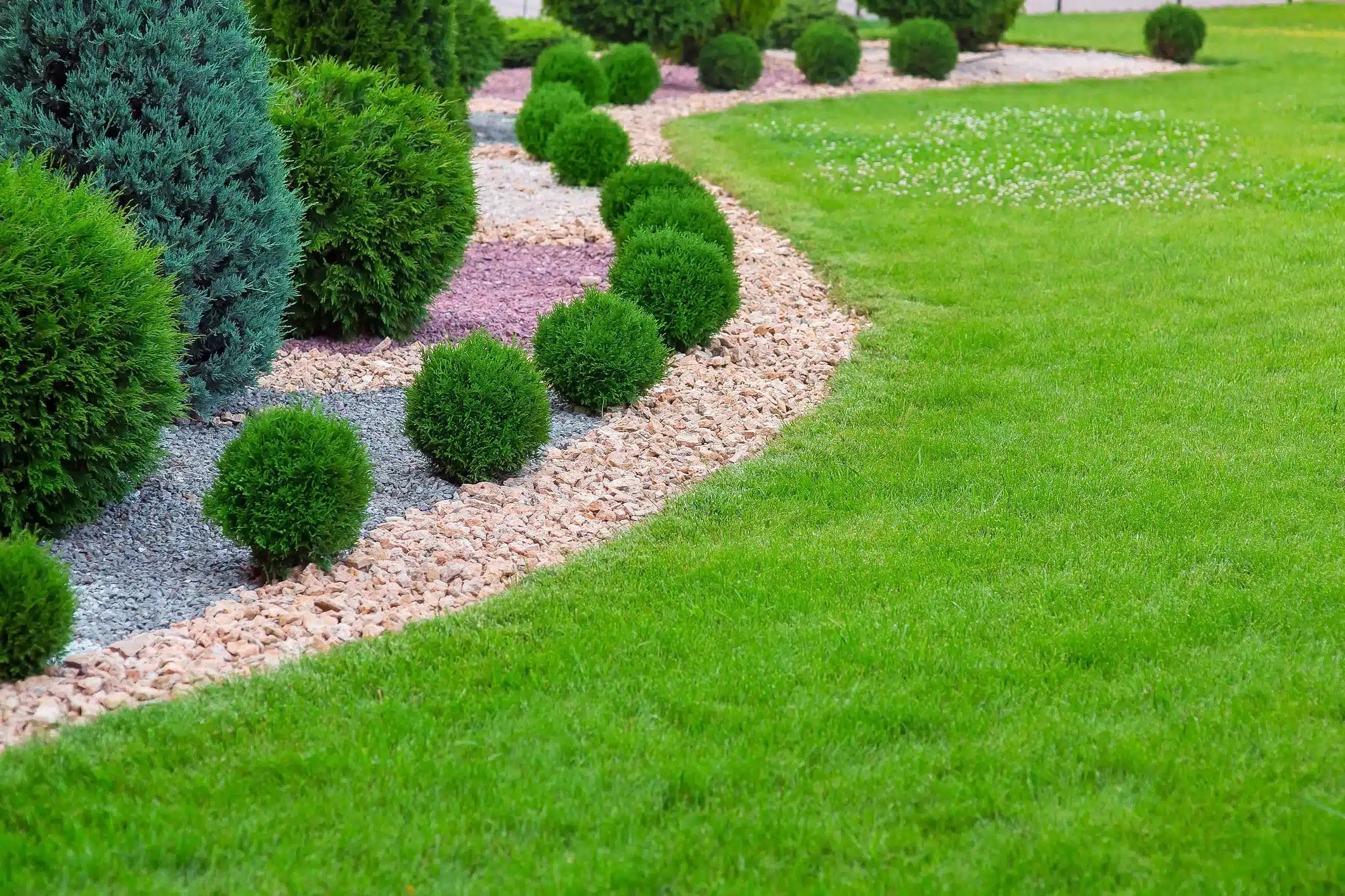 Ludlow_Landscaper_landscapingservice_StClair.webp (25) medium-yard-landscaping