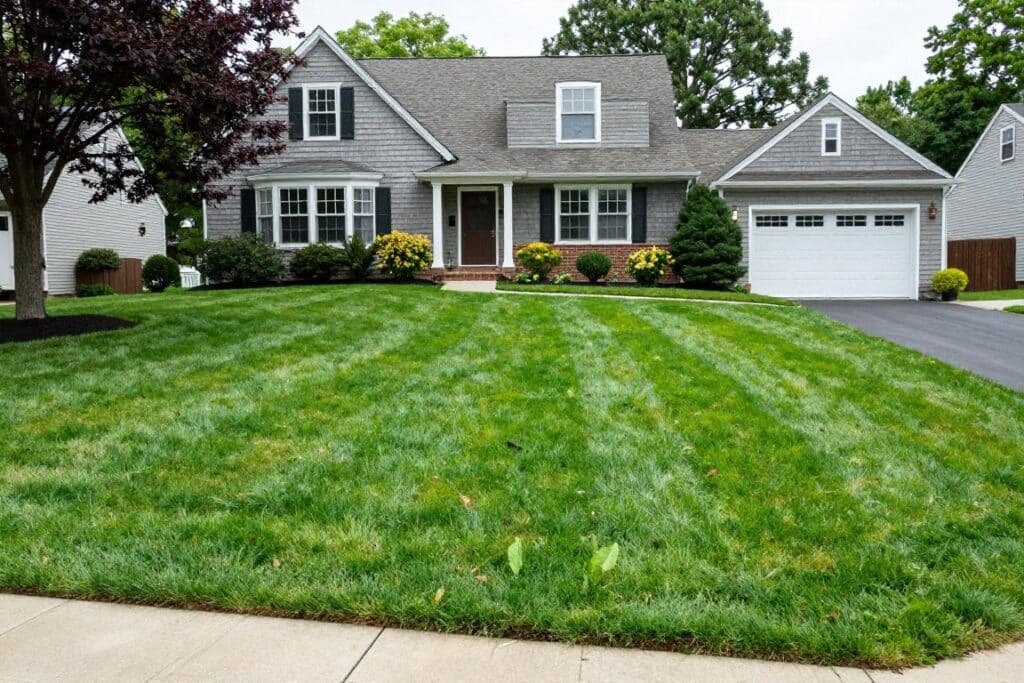 Beautiful maintained residential lawn in Ludlow neighborhood