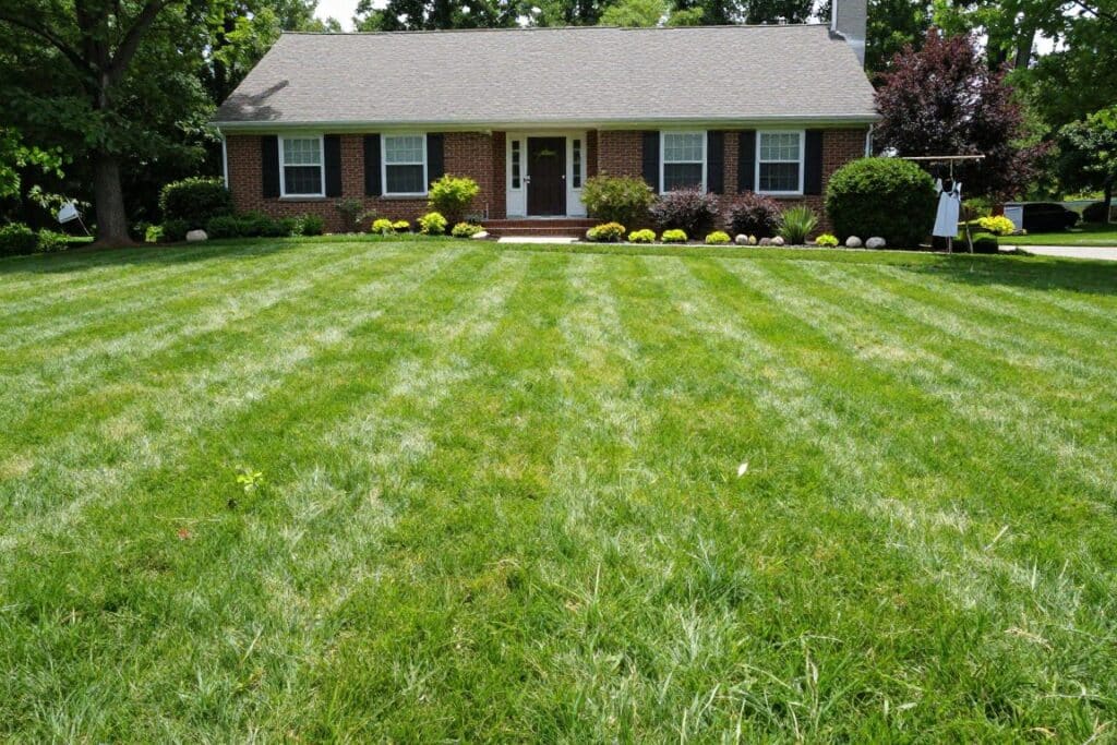 Healthy green lawn thriving during summer in Ludlow Massachusetts